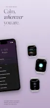 It Will Pass gallery image
