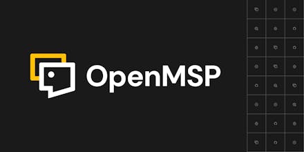 OpenMSP gallery image