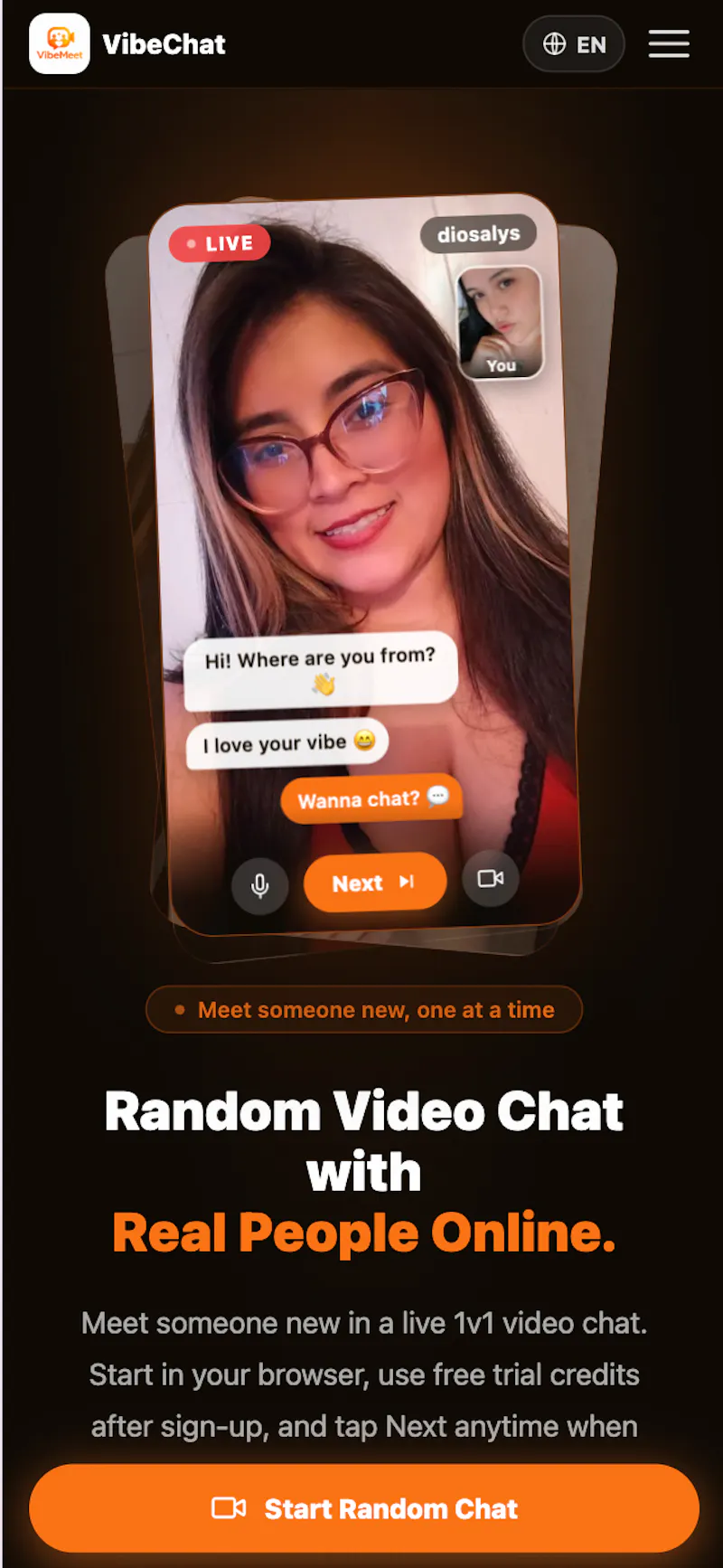 VibeChat screenshot 3
