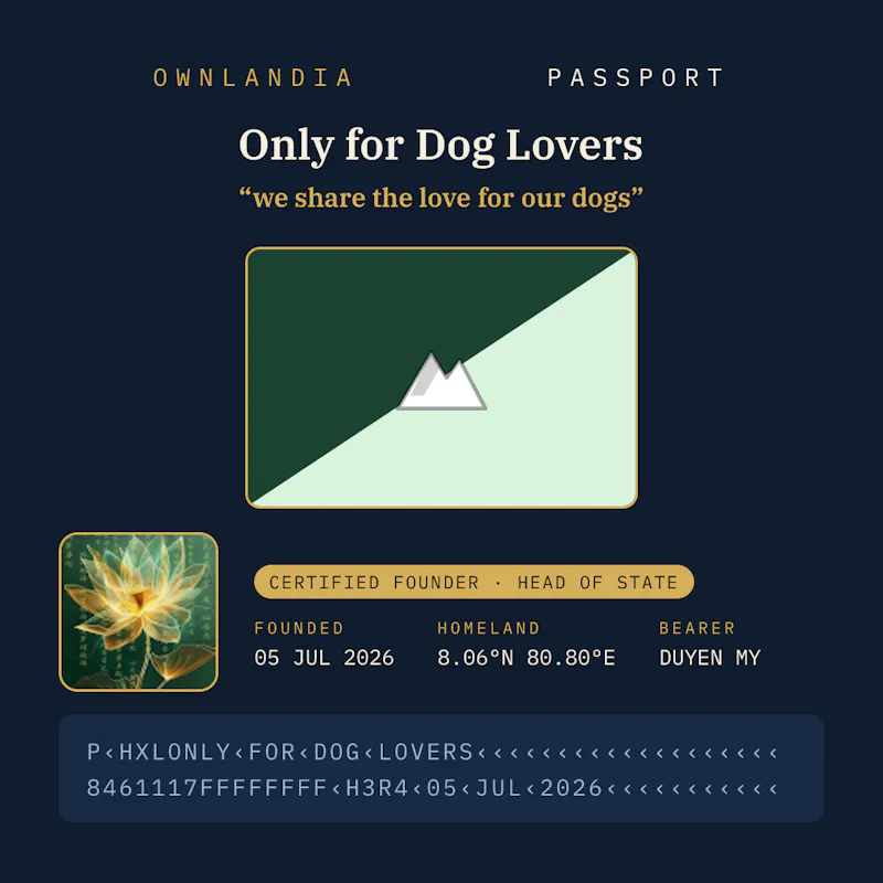 Ownlandia screenshot 3