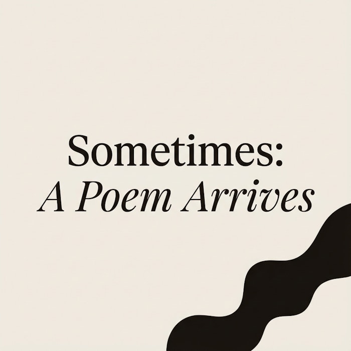 Sometimes: A Poem Arrives产品图