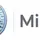 mirofish