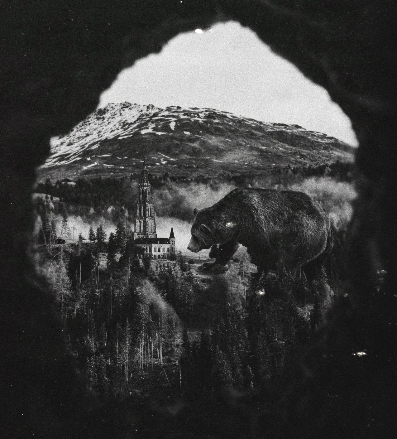 Collect Sarro NFT Art