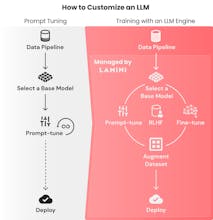 Lamini gallery image