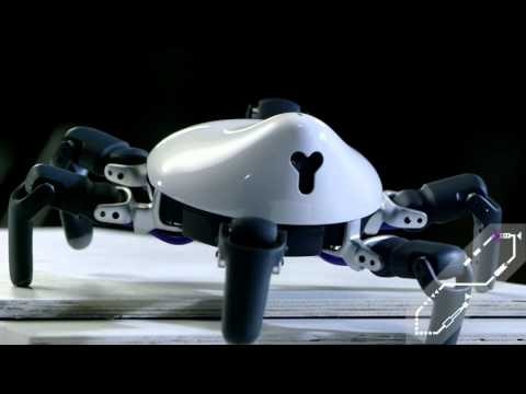 HEXA: Programmable, Highly Maneuverable Robot - Kickstarter Launch gallery image