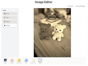 Your Perfect Photo Free Image Editor gallery image