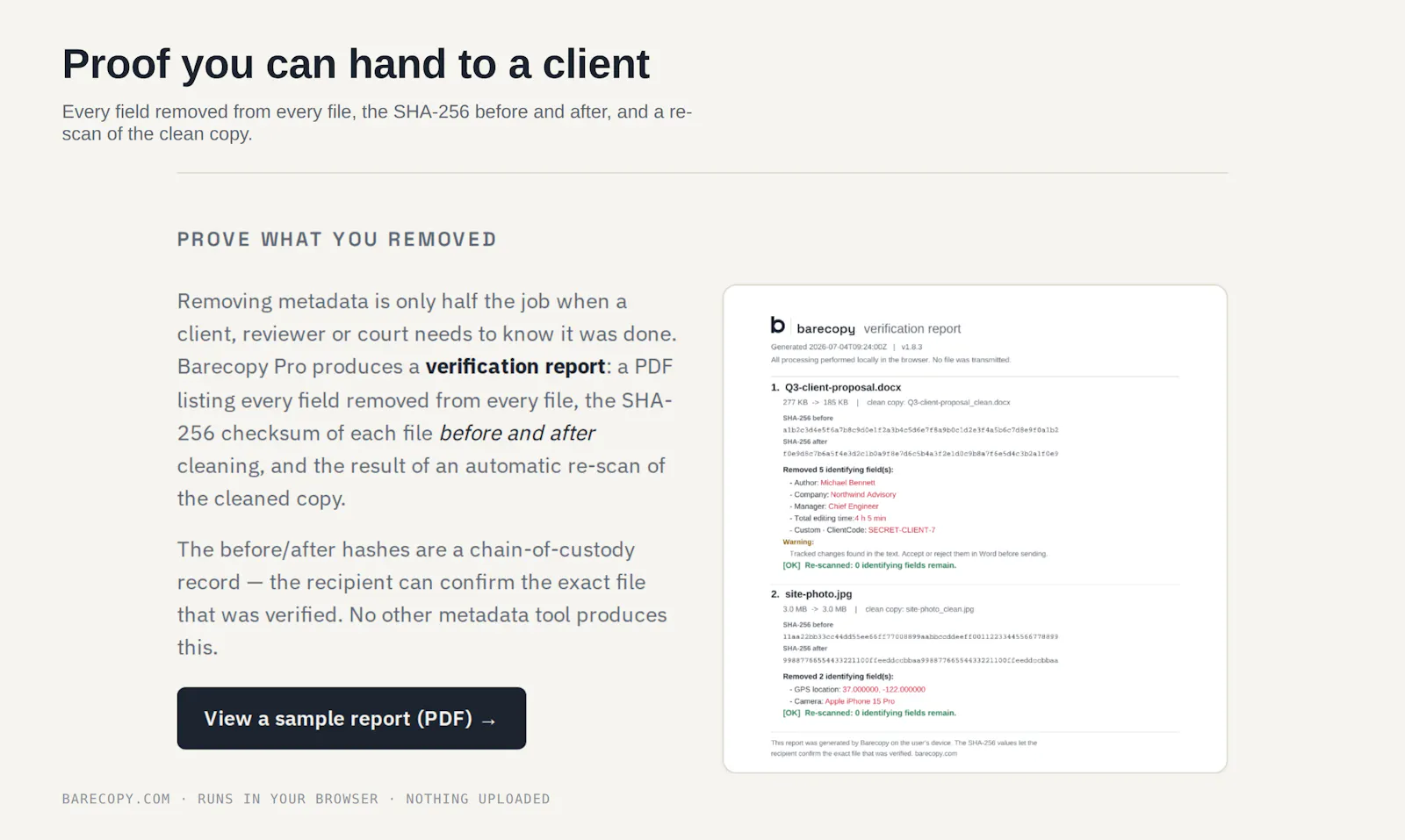 Barecopy screenshot 5