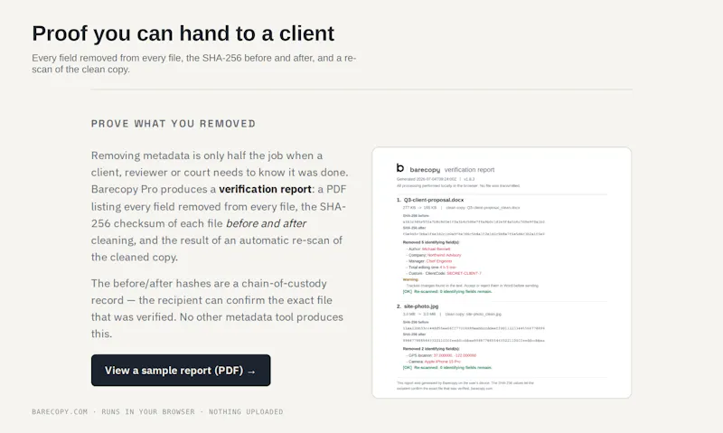 Barecopy screenshot 5