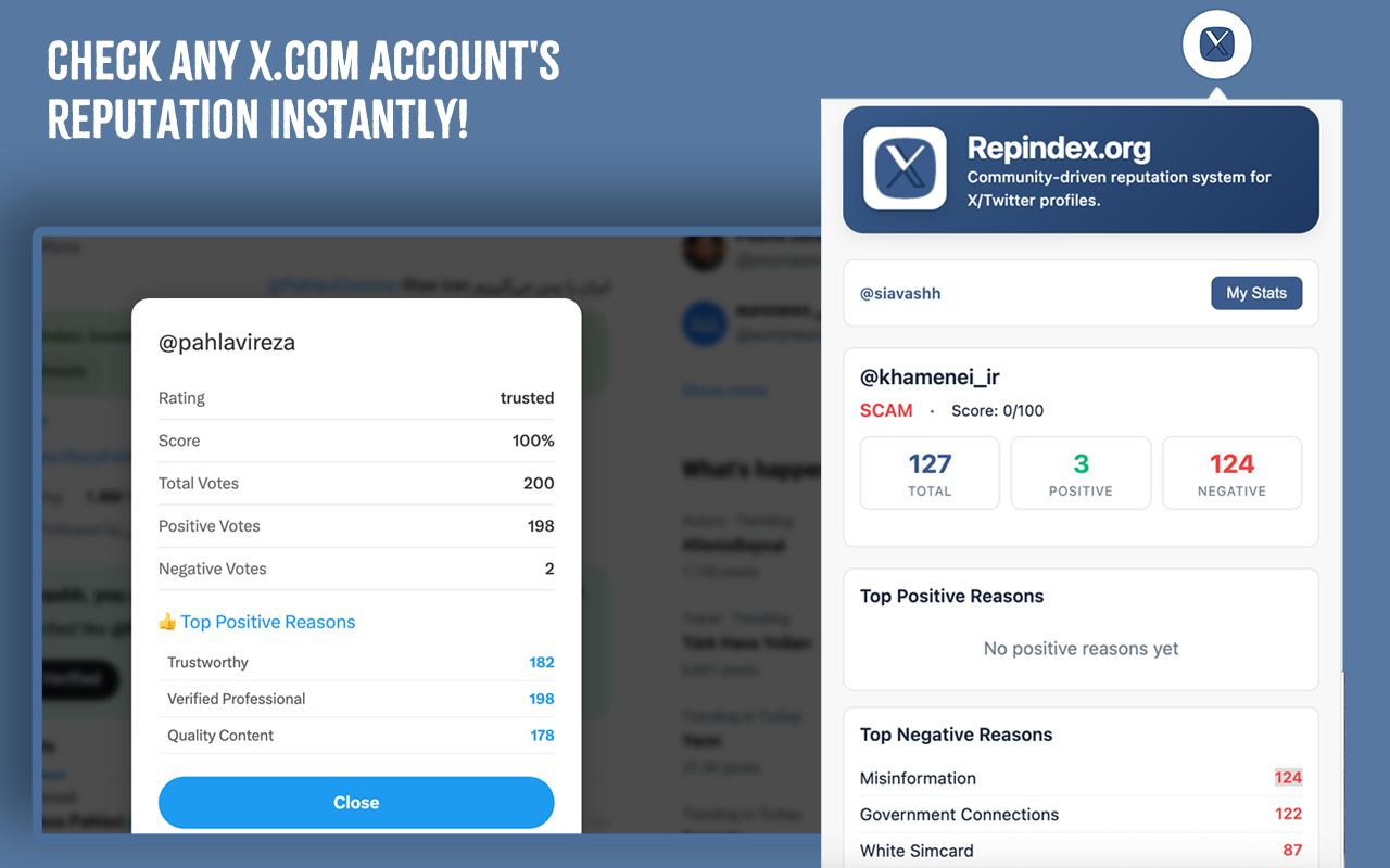 RepIndex chrome extension - Screenshot 2 showing product features and functionality