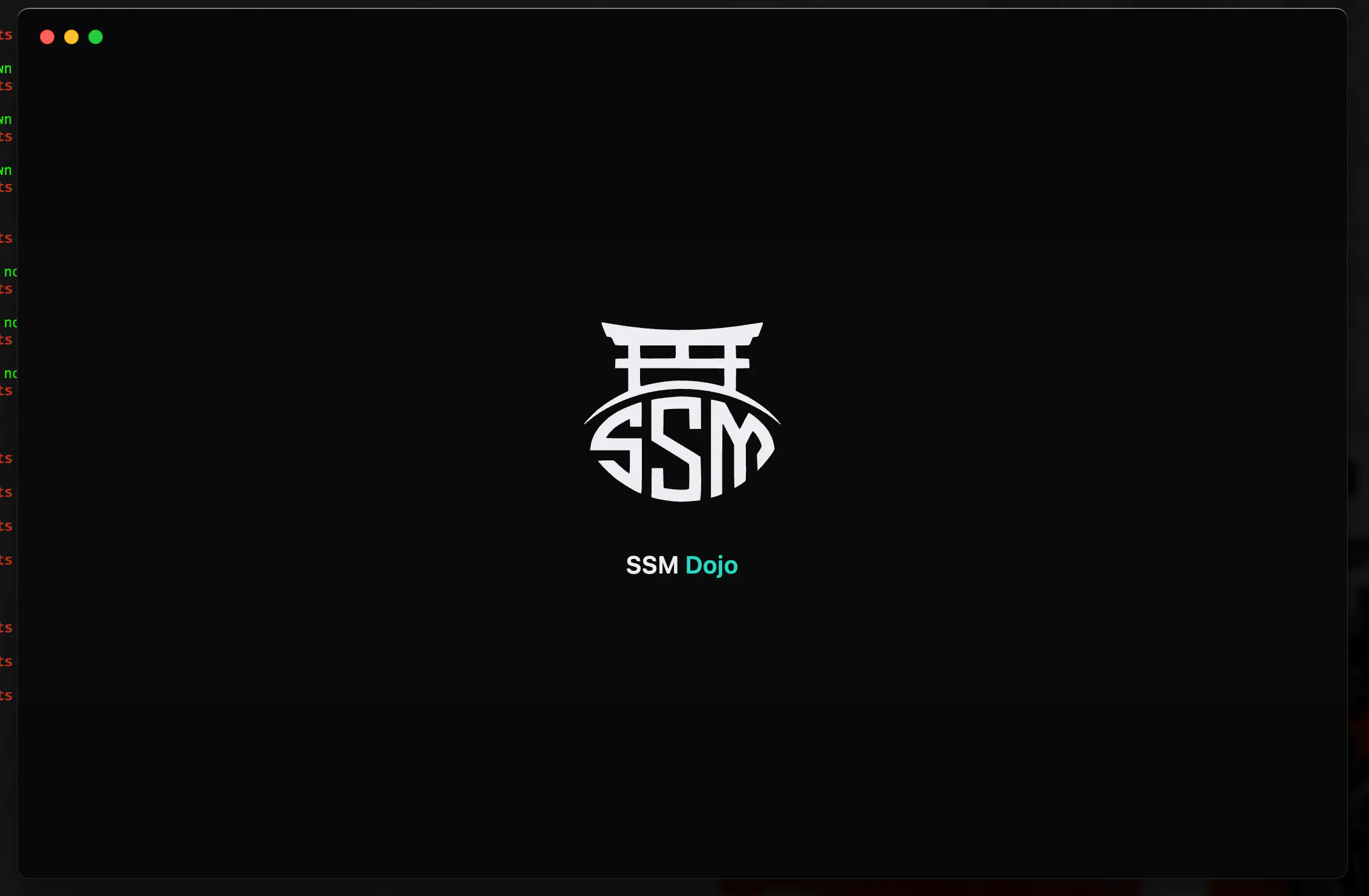 SSM Dojo gallery image