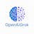 OPEN AI GRok