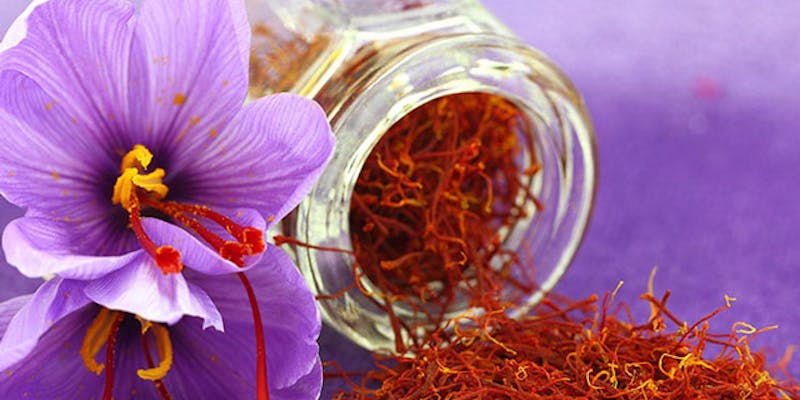 Amazing Health Benefits Of Saffron media 1
