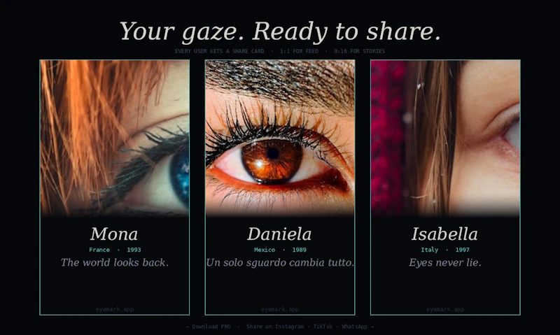 EyeMark screenshot 2