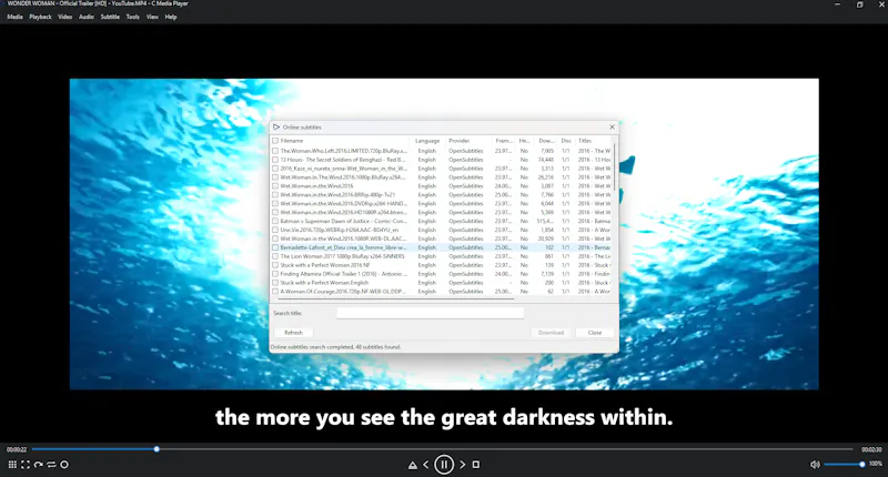 C Media Player screenshot 16
