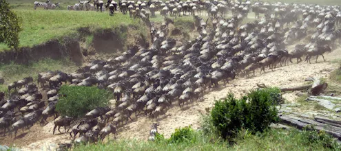 Africantrust Safari gallery image