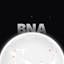 BNA
