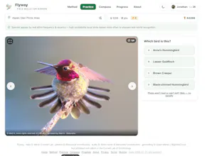 Flyway gallery image