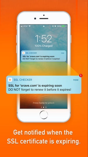 SSL Checker gallery image