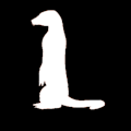 Pingkat
