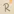 Rppl: Reflective Journal