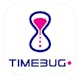 Timebug