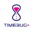 Timebug