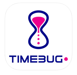 Timebug