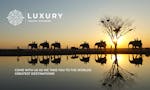 Luxury Travel Hackers investing campaign image