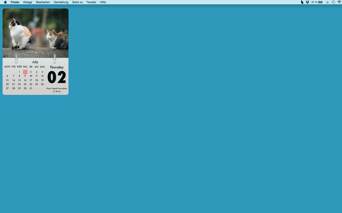 Cal Cat gallery image