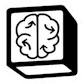 Notion Decision Brain