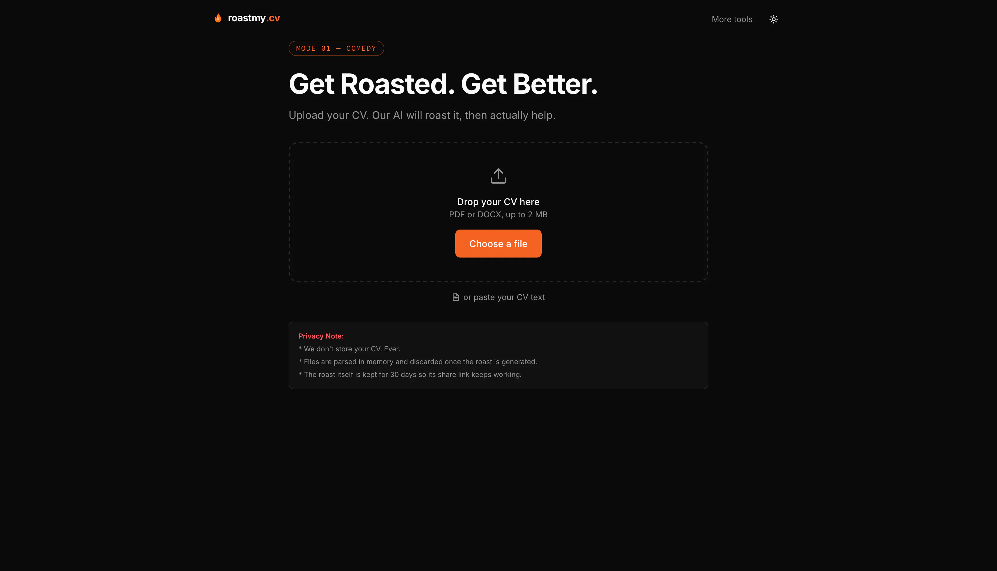 roastmy.cv gallery image