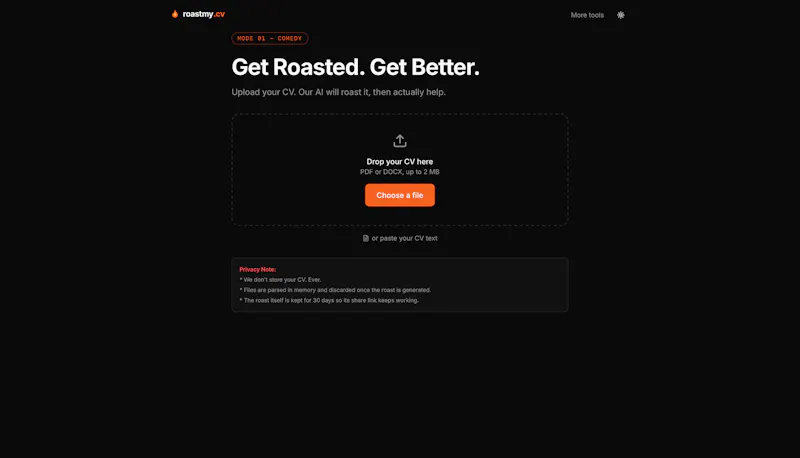 roastmy.cv screenshot 2