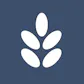 landaio