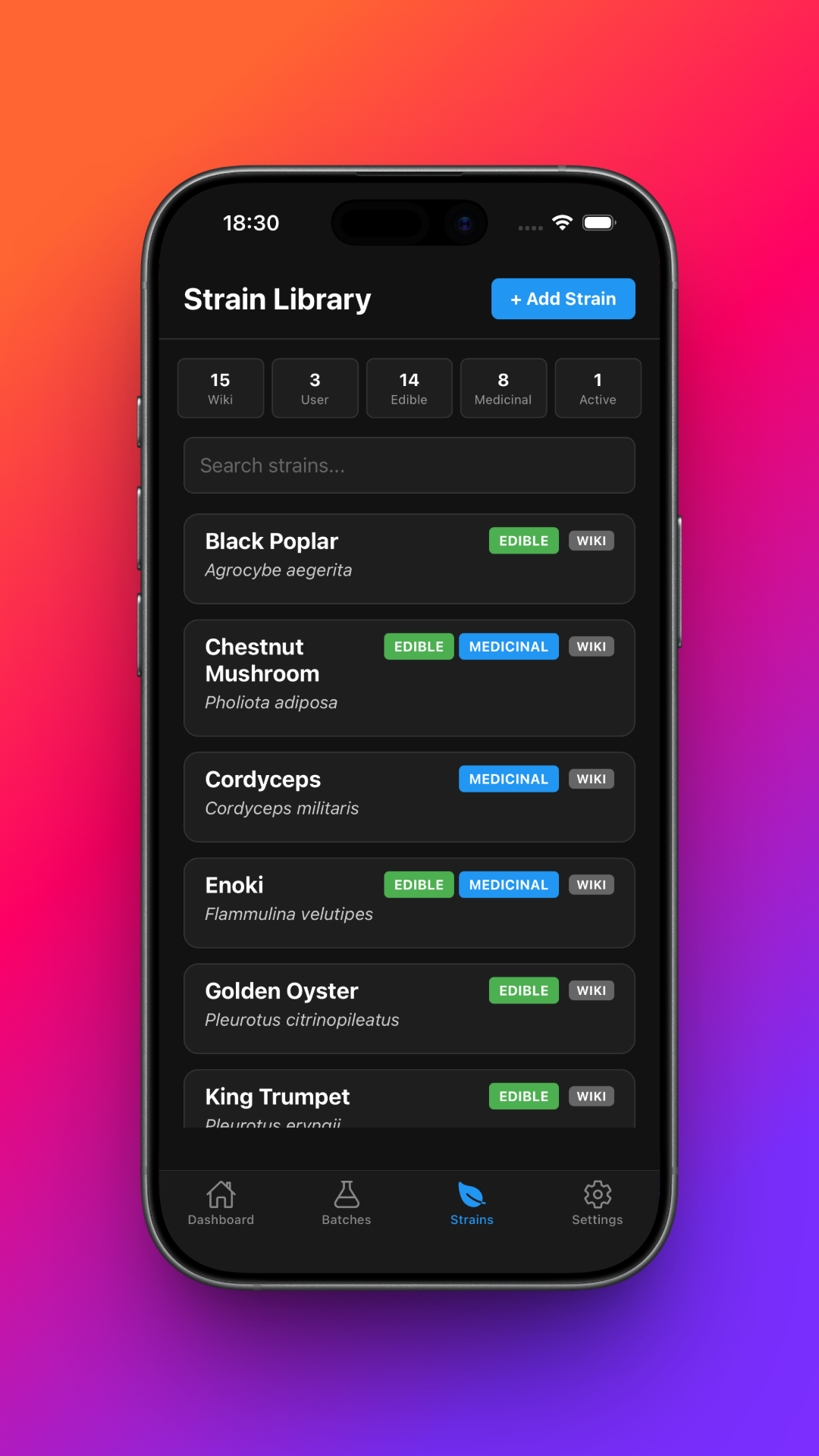 MycoHub gallery image