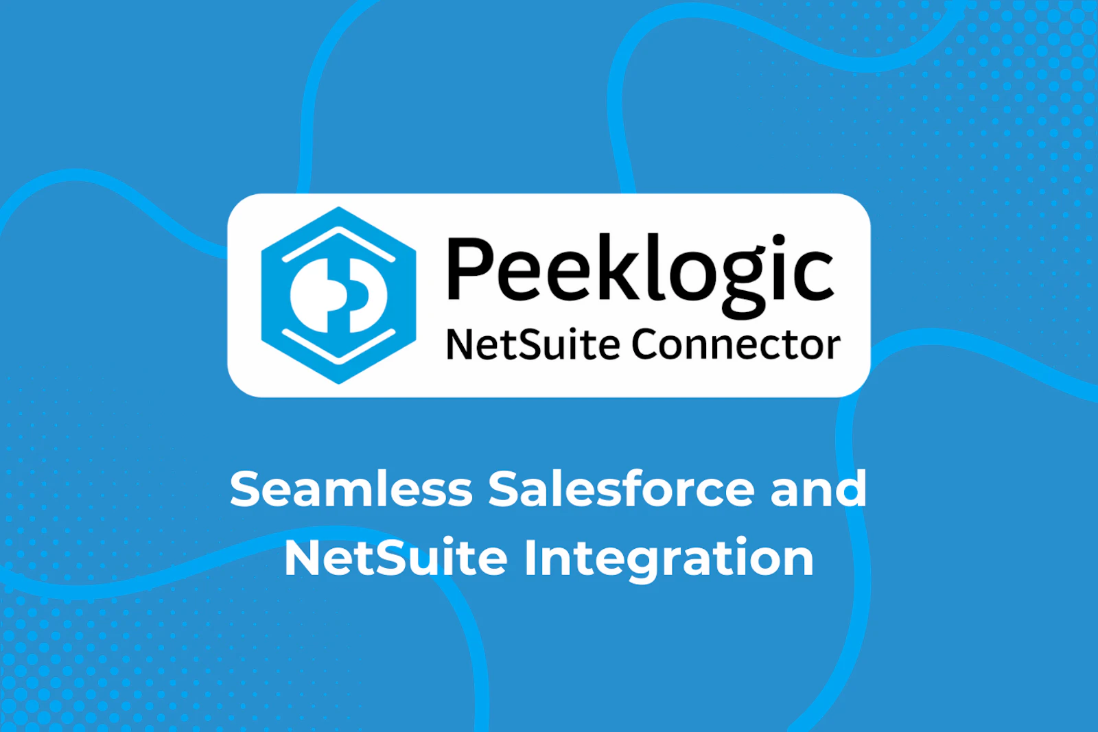 Peeklogic Salesforce NetSuite Connector screenshot 4