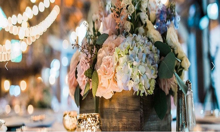 The Swan Barn Door Product Information, Latest Updates, and Reviews