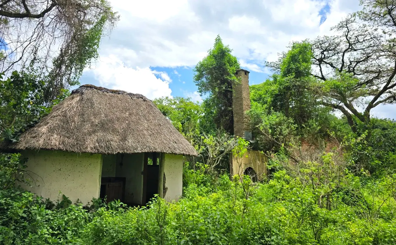 Wildlife Conservation Legacy in Kenya gallery image