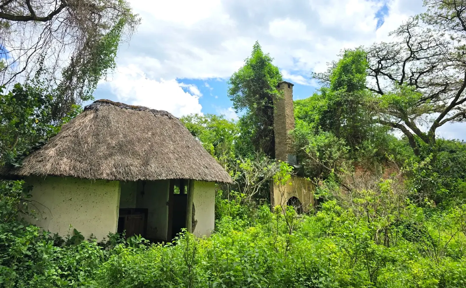 Wildlife Conservation Legacy in Kenya screenshot 8
