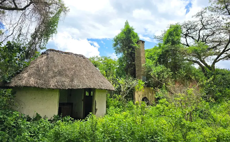 Wildlife Conservation Legacy in Kenya screenshot 8