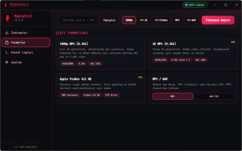 MediaPull screenshot 2