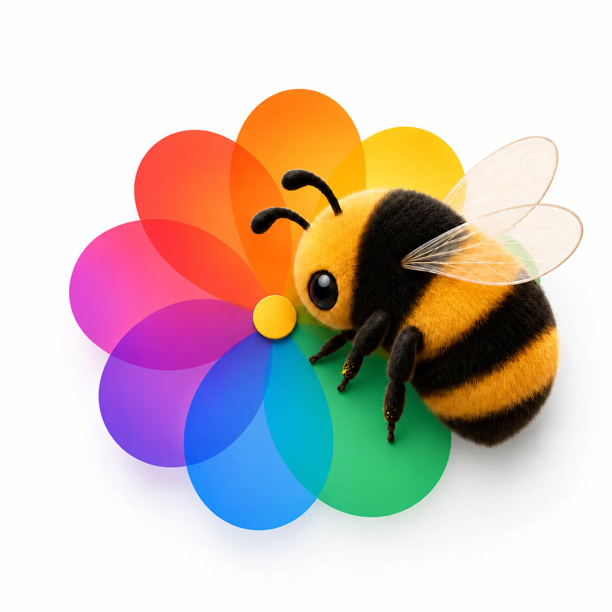 AlbumBee