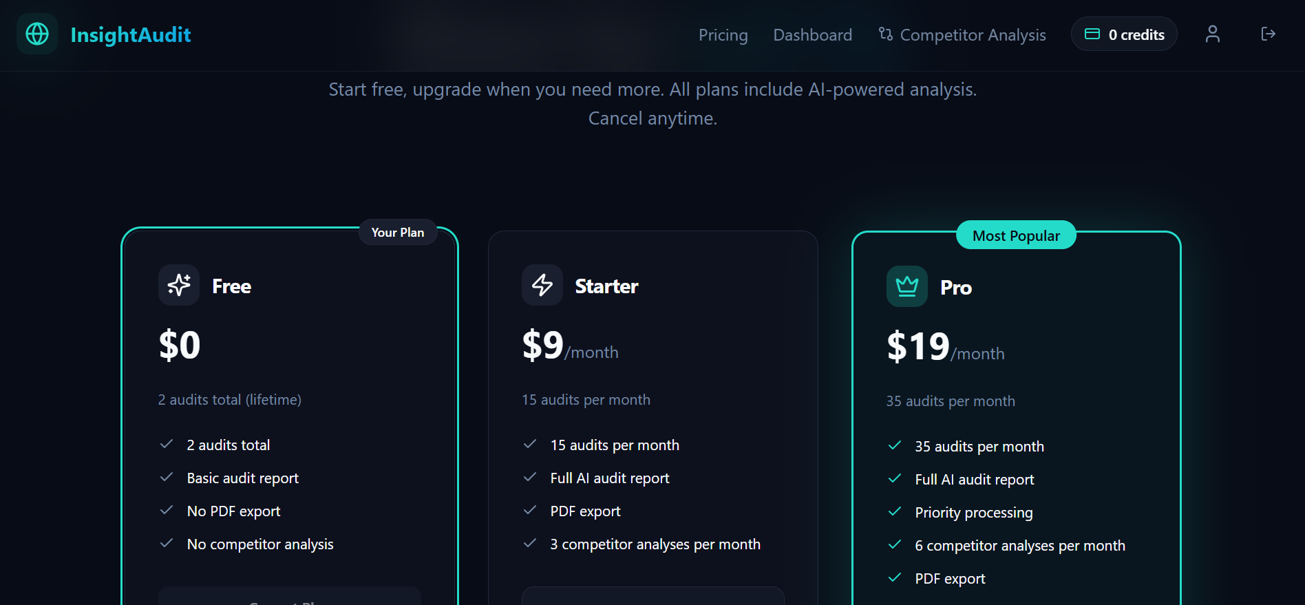 InsightAudit - Screenshot 2 showing product features and functionality