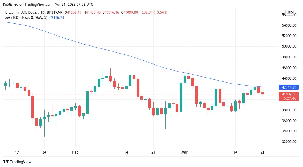 Shiba inu coin price prediction 2025 gallery image