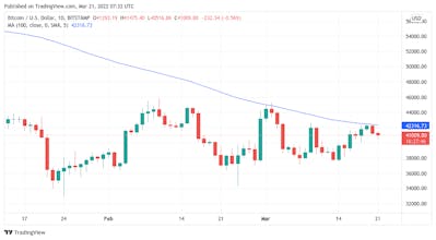 Shiba inu coin price prediction 2025 gallery image