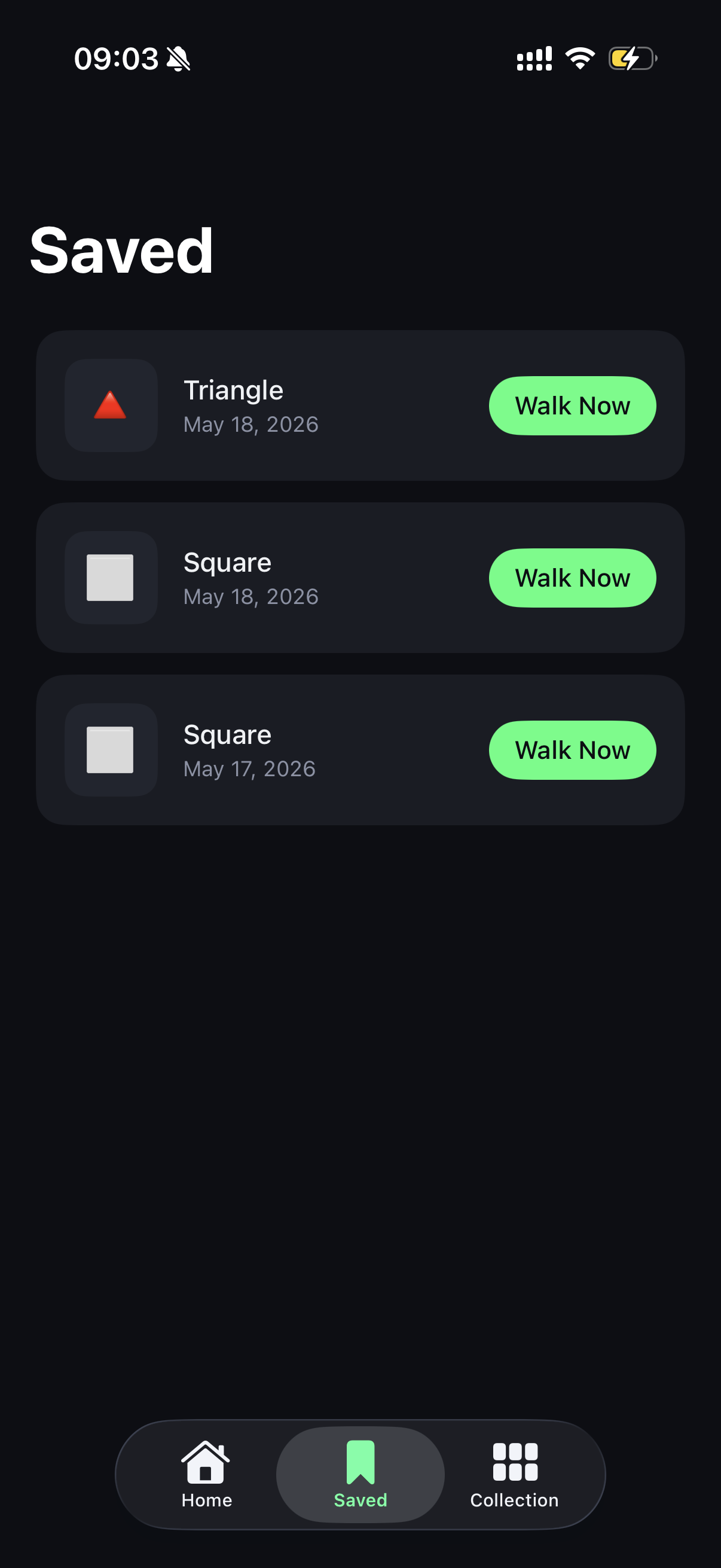 Shape Walk gallery image
