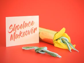 Shoelace Makeover gallery image