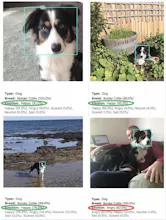 Happy Pets gallery image