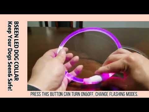 BSEEN LED DOG COLLAR- BE SEEN& BE SAFE! gallery image