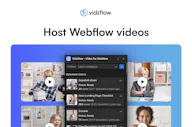 Vidzflow 2.0
