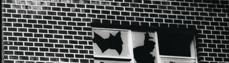 Trespass. A History of Uncommissioned Urban Art gallery image